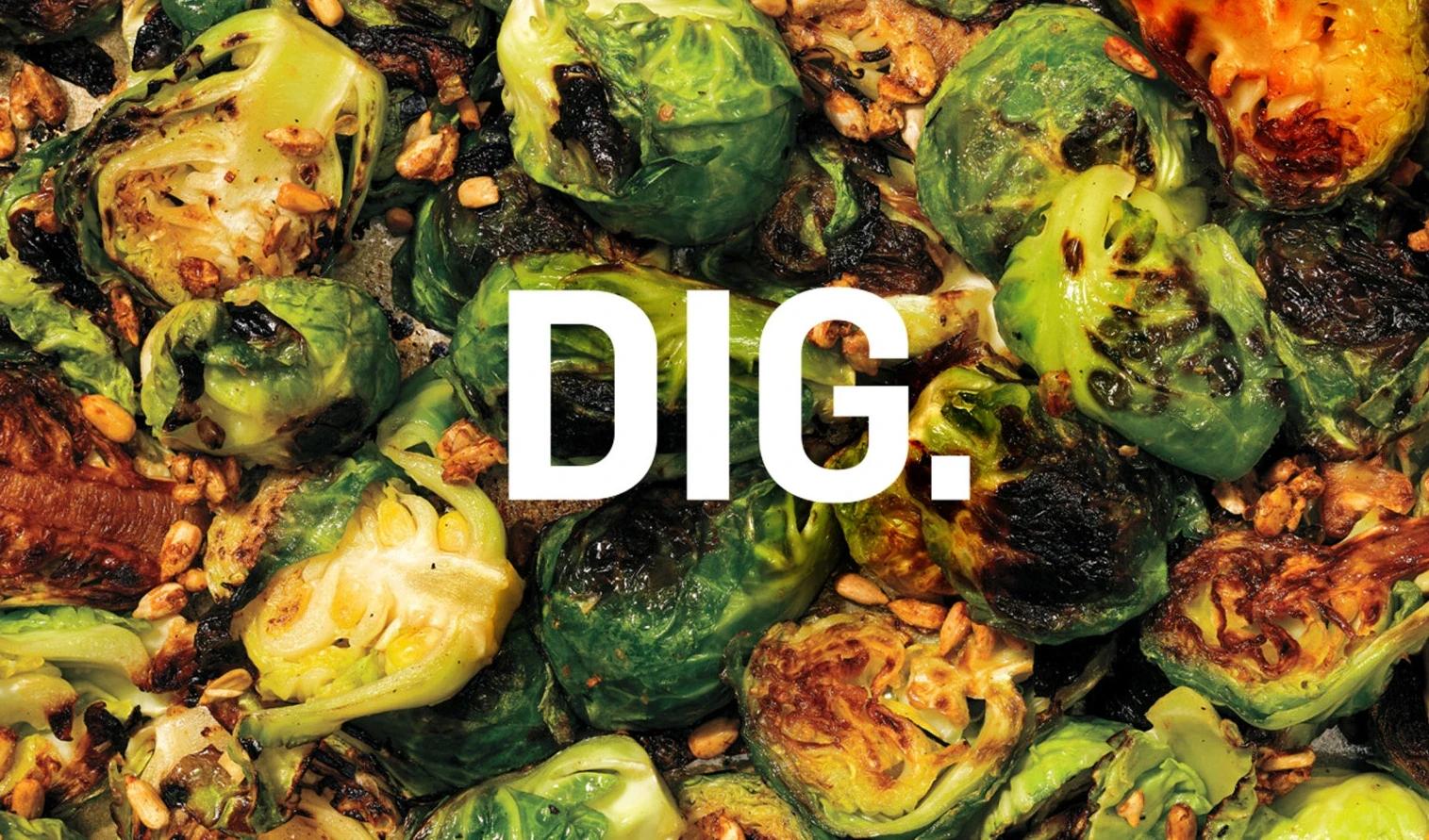 DIG