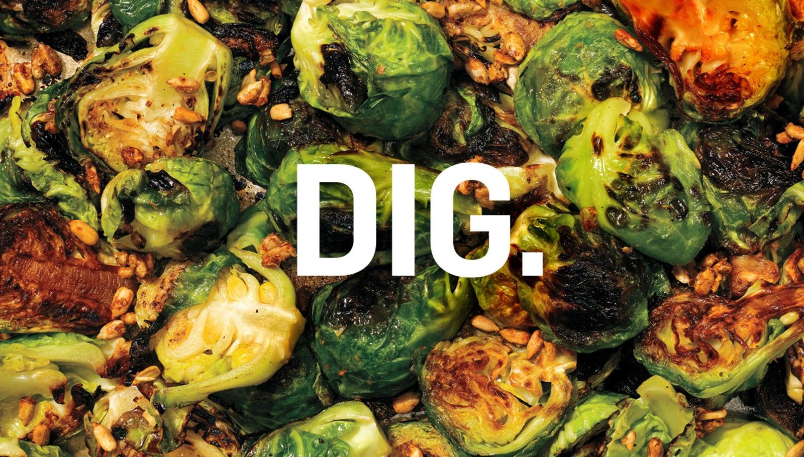 DIG