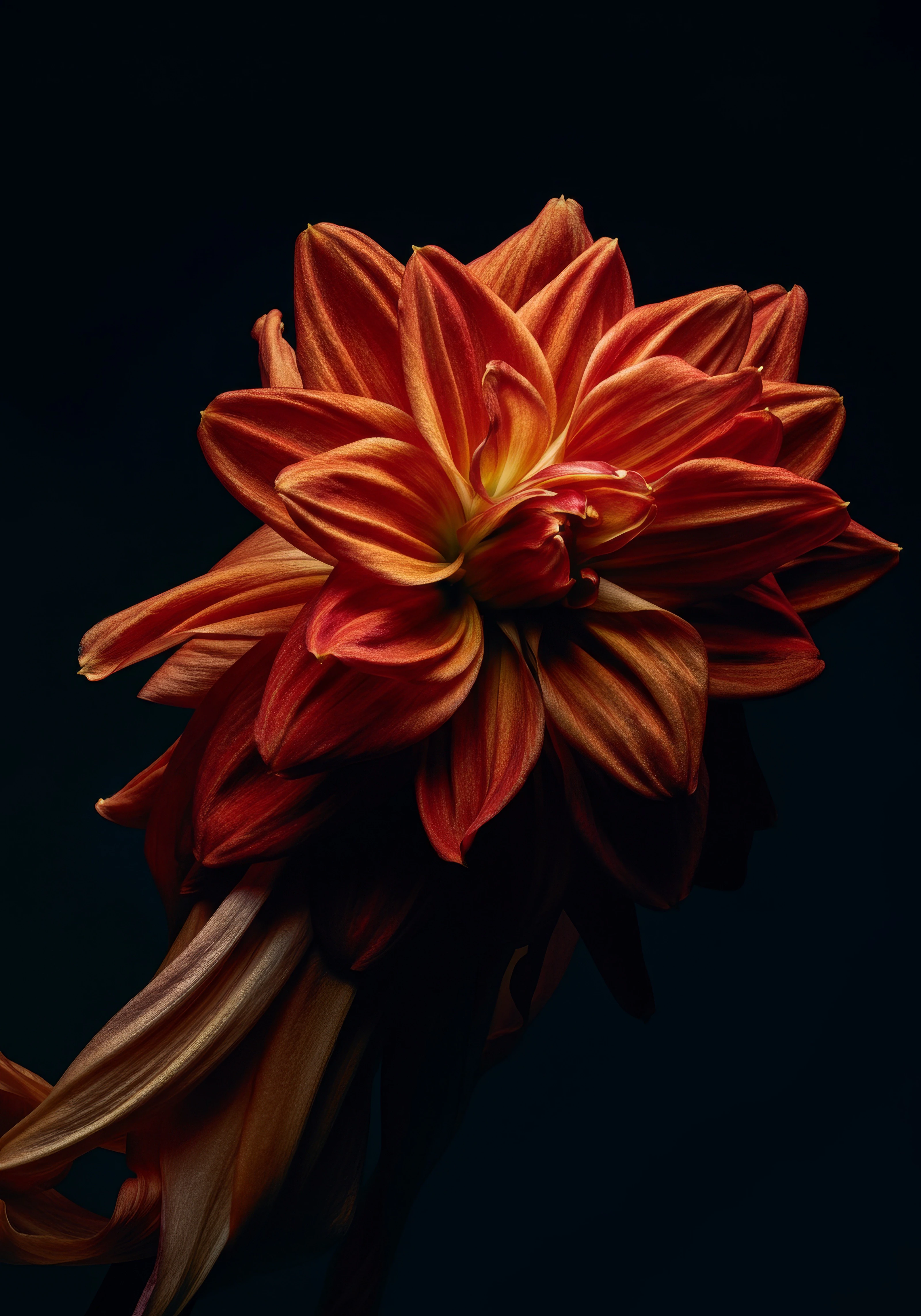 FLORA